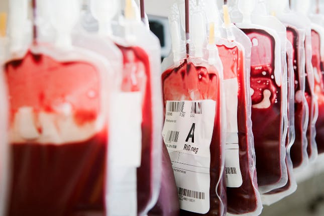 bolsas-de-sangue