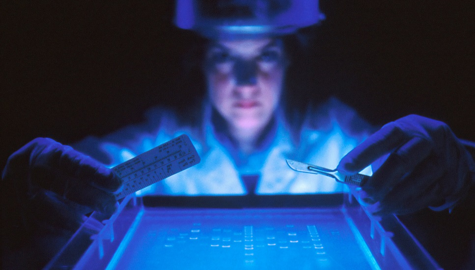 Mulher em laboratório realiza procedimento de fragmentação de DNA.